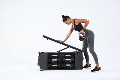 FitBench One