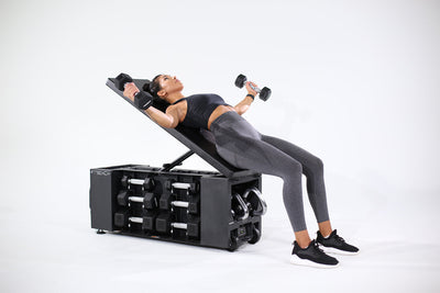 FitBench One