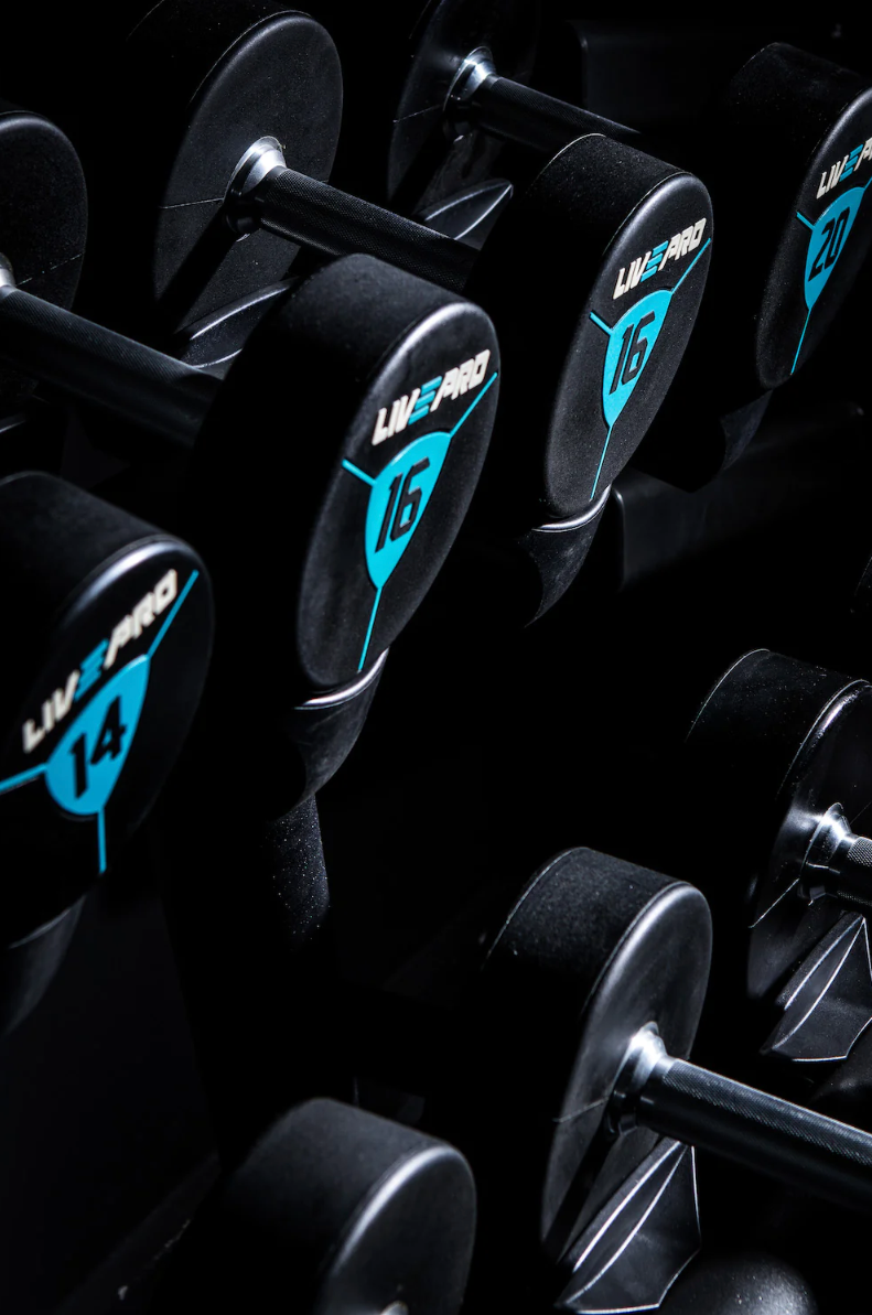 PREMIUM KURZHANTEL SET 2-50kg